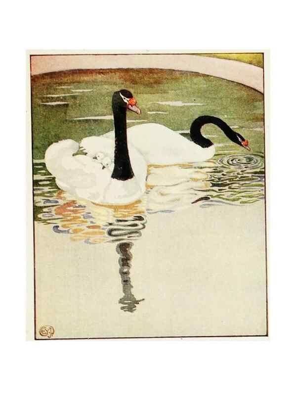 Reproducción/Reproduction 48346874162: The childhood of animals,. New York,F. A. Stokes[1912]. 