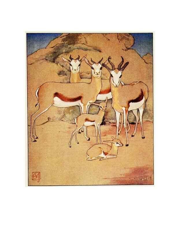 Reproducción/Reproduction 48346874632: The childhood of animals,. New York,F. A. Stokes[1912]. 