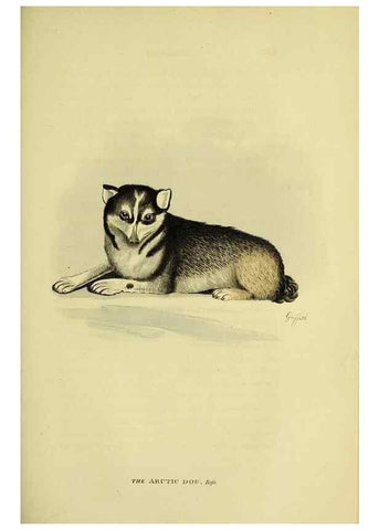Reproducción/Reproduction 48346591577: General and particular descriptions of the vertebrated animals :. London :Printed for Baldwin, Cradock, and Joy :MDCCCXXI [1821]. 