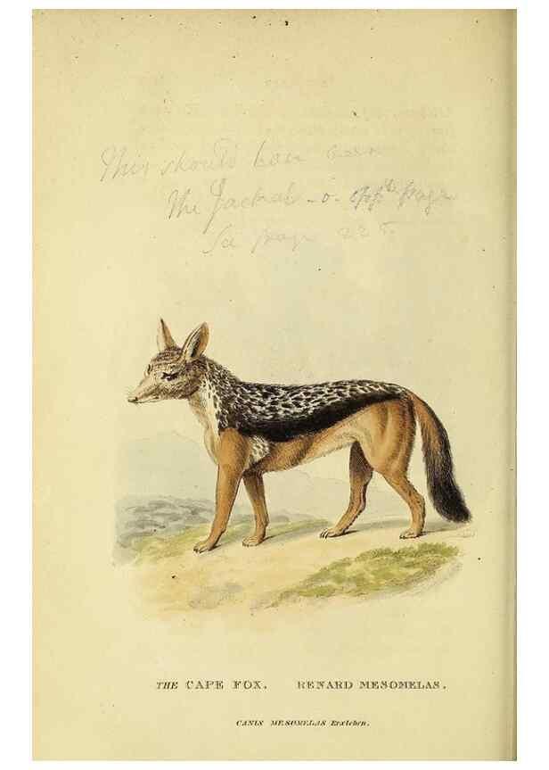 Reproducción/Reproduction 48346453476: General and particular descriptions of the vertebrated animals :. London :Printed for Baldwin, Cradock, and Joy :MDCCCXXI [1821]. 