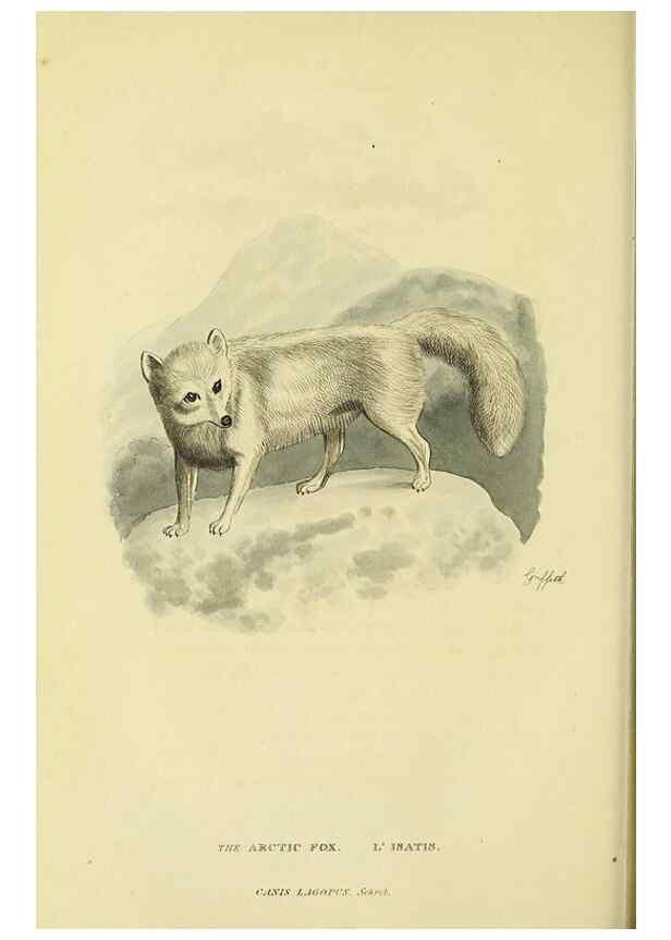 Reproducción/Reproduction 48346593262: General and particular descriptions of the vertebrated animals :. London :Printed for Baldwin, Cradock, and Joy :MDCCCXXI [1821]. 