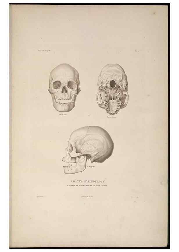 Reproducción/Reproduction 48346801161: Voyage autour du monde :. Paris :Arthus Bertrand,1825-1830 [i.e. 1838]. 
