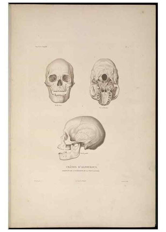 Reproducción/Reproduction 48346801161: Voyage autour du monde :. Paris :Arthus Bertrand,1825-1830 [i.e. 1838]. 