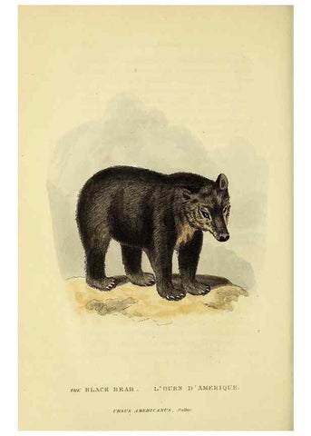 Reproducción/Reproduction 48346594732: General and particular descriptions of the vertebrated animals :. London :Printed for Baldwin, Cradock, and Joy :MDCCCXXI [1821]. 