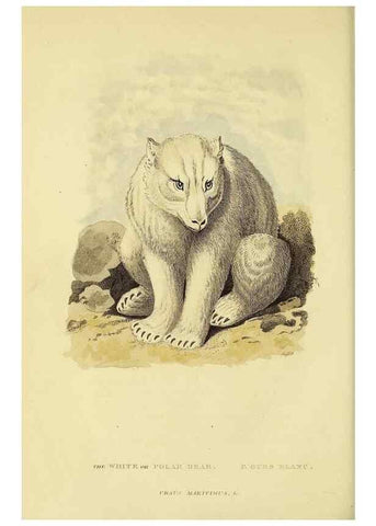 Reproducción/Reproduction 48346595467: General and particular descriptions of the vertebrated animals :. London :Printed for Baldwin, Cradock, and Joy :MDCCCXXI [1821]. 