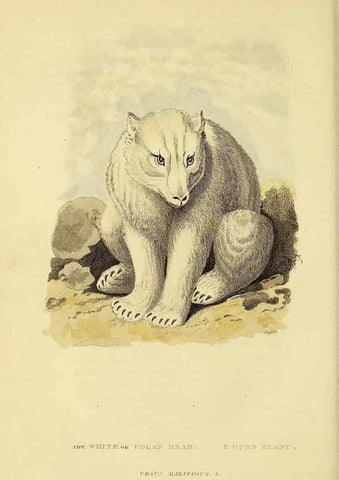 Reproducción/Reproduction 48346595467: General and particular descriptions of the vertebrated animals :. London :Printed for Baldwin, Cradock, and Joy :MDCCCXXI [1821]. 