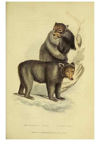 Reproducción/Reproduction 48346457681: General and particular descriptions of the vertebrated animals :. London :Printed for Baldwin, Cradock, and Joy :MDCCCXXI [1821]. 