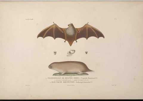 Reproducción/Reproduction 48346801531: Voyage autour du monde :. Paris :Arthus Bertrand,1825-1830 [i.e. 1838]. 