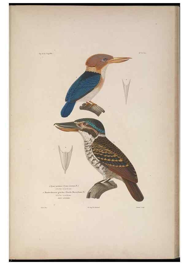 Reproducción/Reproduction 48346950092: Voyage autour du monde :. Paris :Arthus Bertrand,1825-1830 [i.e. 1838]. 