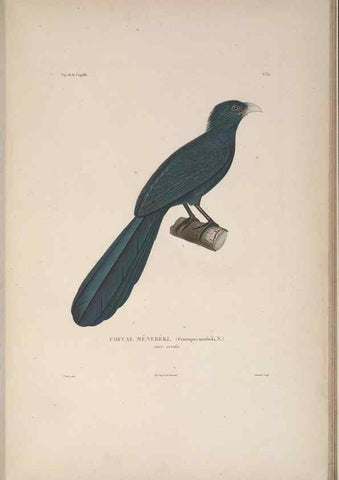 Reproducción/Reproduction 48346950822: Voyage autour du monde :. Paris :Arthus Bertrand,1825-1830 [i.e. 1838]. 