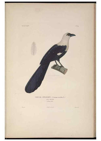 Reproducción/Reproduction 48346951297: Voyage autour du monde :. Paris :Arthus Bertrand,1825-1830 [i.e. 1838]. 