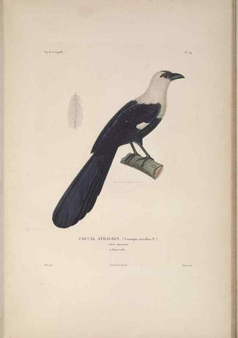Reproducción/Reproduction 48346951297: Voyage autour du monde :. Paris :Arthus Bertrand,1825-1830 [i.e. 1838]. 