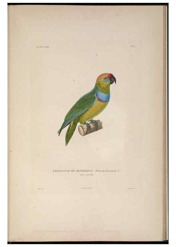 Reproducción/Reproduction 48346951857: Voyage autour du monde :. Paris :Arthus Bertrand,1825-1830 [i.e. 1838]. 