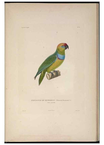Reproducción/Reproduction 48346951857: Voyage autour du monde :. Paris :Arthus Bertrand,1825-1830 [i.e. 1838]. 