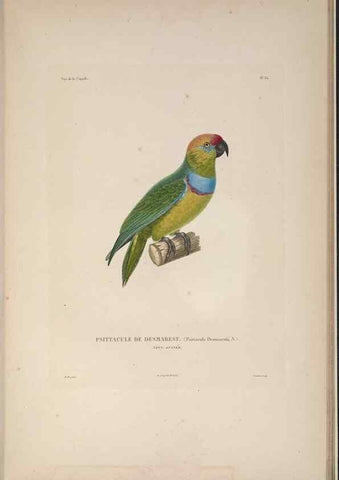 Reproducción/Reproduction 48346951857: Voyage autour du monde :. Paris :Arthus Bertrand,1825-1830 [i.e. 1838]. 