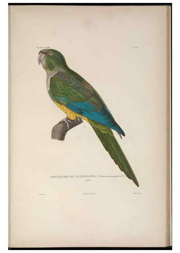Reproducción/Reproduction 48346816076: Voyage autour du monde :. Paris :Arthus Bertrand,1825-1830 [i.e. 1838]. 
