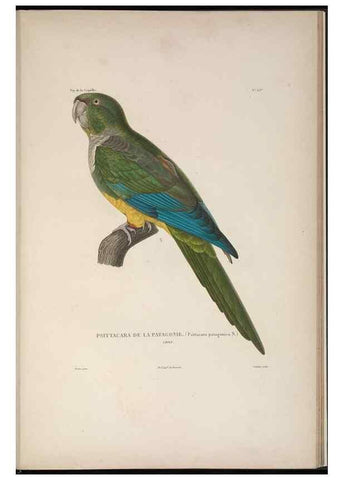 Reproducción/Reproduction 48346816076: Voyage autour du monde :. Paris :Arthus Bertrand,1825-1830 [i.e. 1838]. 