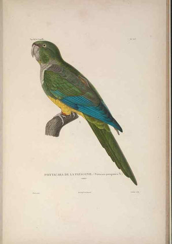 Reproducción/Reproduction 48346816076: Voyage autour du monde :. Paris :Arthus Bertrand,1825-1830 [i.e. 1838]. 