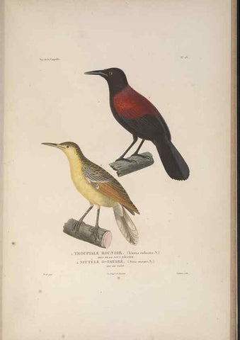 Reproducción/Reproduction 48346810481: Voyage autour du monde :. Paris :Arthus Bertrand,1825-1830 [i.e. 1838]. 