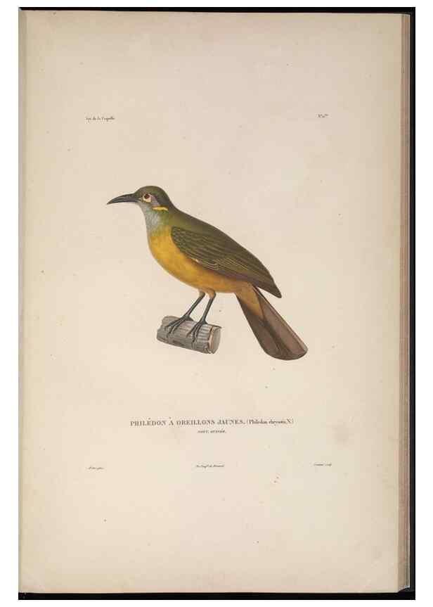 Reproducción/Reproduction 48346809806: Voyage autour du monde :. Paris :Arthus Bertrand,1825-1830 [i.e. 1838]. 