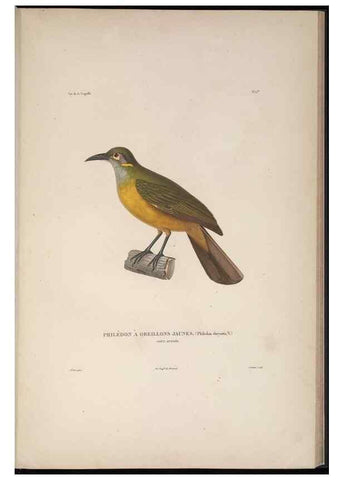 Reproducción/Reproduction 48346809806: Voyage autour du monde :. Paris :Arthus Bertrand,1825-1830 [i.e. 1838]. 
