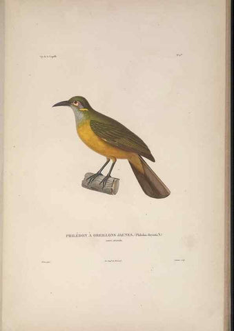 Reproducción/Reproduction 48346809806: Voyage autour du monde :. Paris :Arthus Bertrand,1825-1830 [i.e. 1838]. 