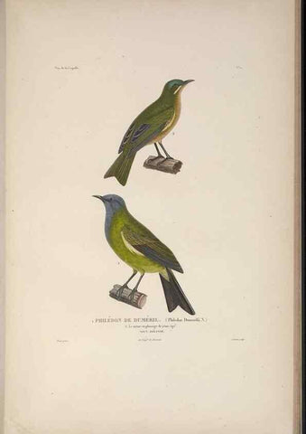 Reproducción/Reproduction 48346809396: Voyage autour du monde :. Paris :Arthus Bertrand,1825-1830 [i.e. 1838]. 