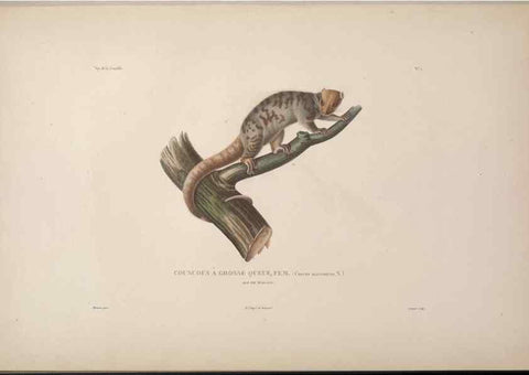 Reproducción/Reproduction 48346938662: Voyage autour du monde :. Paris :Arthus Bertrand,1825-1830 [i.e. 1838]. 