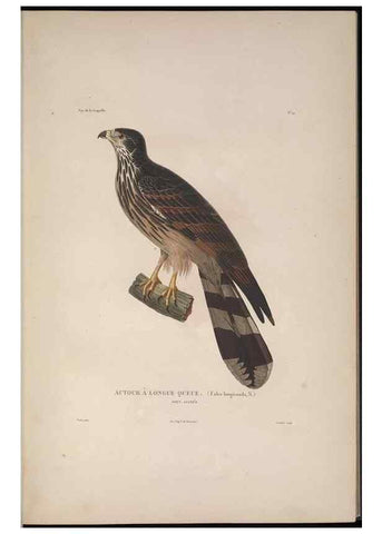 Reproducción/Reproduction 48346804601: Voyage autour du monde :. Paris :Arthus Bertrand,1825-1830 [i.e. 1838]. 