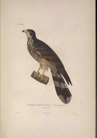 Reproducción/Reproduction 48346804601: Voyage autour du monde :. Paris :Arthus Bertrand,1825-1830 [i.e. 1838]. 