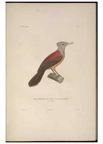 Reproducción/Reproduction 48346805021: Voyage autour du monde :. Paris :Arthus Bertrand,1825-1830 [i.e. 1838]. 