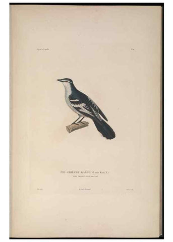 Reproducción/Reproduction 48346941672: Voyage autour du monde :. Paris :Arthus Bertrand,1825-1830 [i.e. 1838]. 