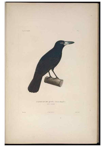 Reproducción/Reproduction 48346806316: Voyage autour du monde :. Paris :Arthus Bertrand,1825-1830 [i.e. 1838]. 