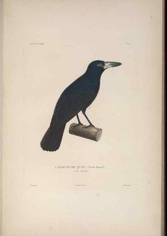 Reproducción/Reproduction 48346806316: Voyage autour du monde :. Paris :Arthus Bertrand,1825-1830 [i.e. 1838]. 