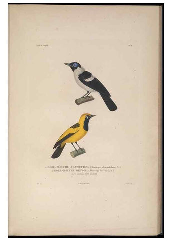 Reproducción/Reproduction 48346944147: Voyage autour du monde :. Paris :Arthus Bertrand,1825-1830 [i.e. 1838]. 