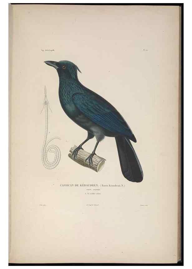 Reproducción/Reproduction 48346942027: Voyage autour du monde :. Paris :Arthus Bertrand,1825-1830 [i.e. 1838]. 