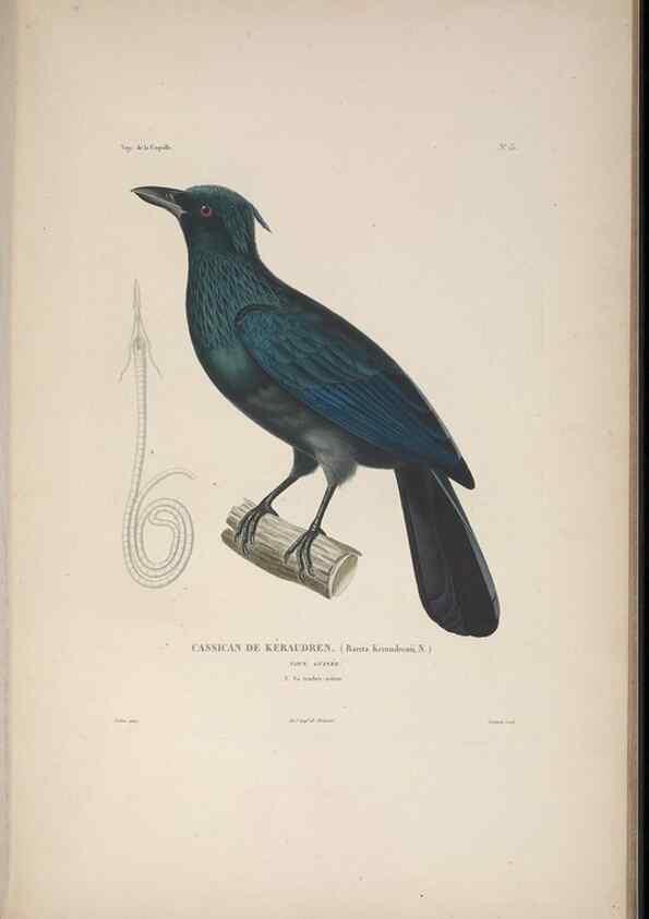 Reproducción/Reproduction 48346942027: Voyage autour du monde :. Paris :Arthus Bertrand,1825-1830 [i.e. 1838]. 