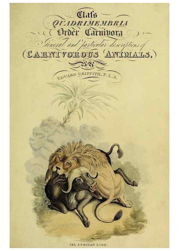 Reproducción/Reproduction 48346436276: General and particular descriptions of the vertebrated animals :. London :Printed for Baldwin, Cradock, and Joy :MDCCCXXI [1821]. 