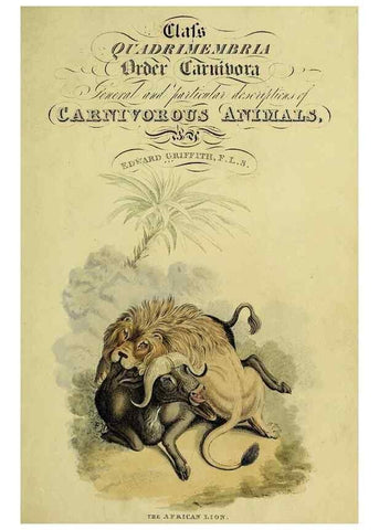 Reproducción/Reproduction 48346436276: General and particular descriptions of the vertebrated animals :. London :Printed for Baldwin, Cradock, and Joy :MDCCCXXI [1821]. 