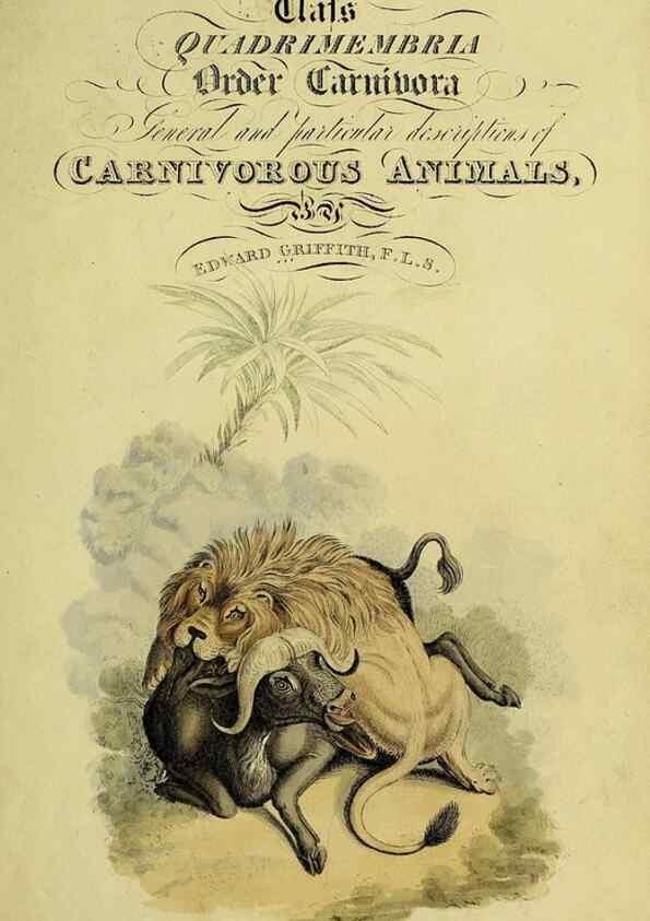 Reproducción/Reproduction 48346436276: General and particular descriptions of the vertebrated animals :. London :Printed for Baldwin, Cradock, and Joy :MDCCCXXI [1821]. 
