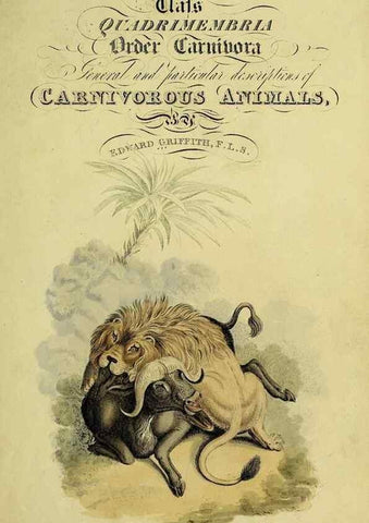 Reproducción/Reproduction 48346436276: General and particular descriptions of the vertebrated animals :. London :Printed for Baldwin, Cradock, and Joy :MDCCCXXI [1821]. 