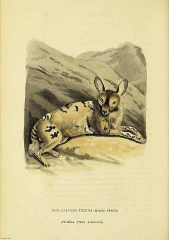 Reproducción/Reproduction 48346447076: General and particular descriptions of the vertebrated animals :. London :Printed for Baldwin, Cradock, and Joy :MDCCCXXI [1821]. 
