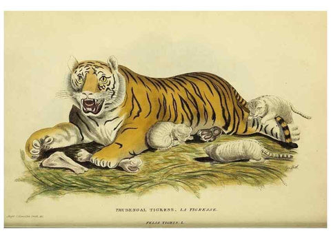 Reproducción/Reproduction 48346575987: General and particular descriptions of the vertebrated animals :. London :Printed for Baldwin, Cradock, and Joy :MDCCCXXI [1821]. 