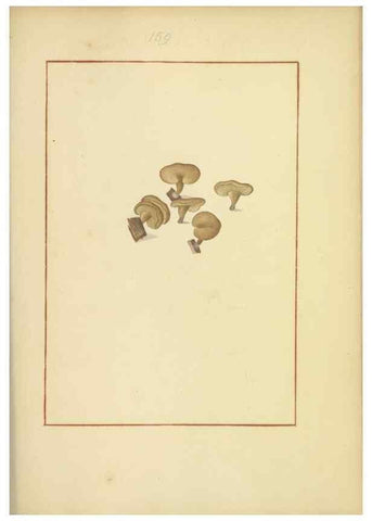 Reproducción/Reproduction 48366799102: Icons fungorum circa Halifax sponte Nascentium /. 1784-1792.. 