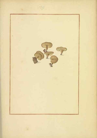 Reproducción/Reproduction 48366799102: Icons fungorum circa Halifax sponte Nascentium /. 1784-1792.. 