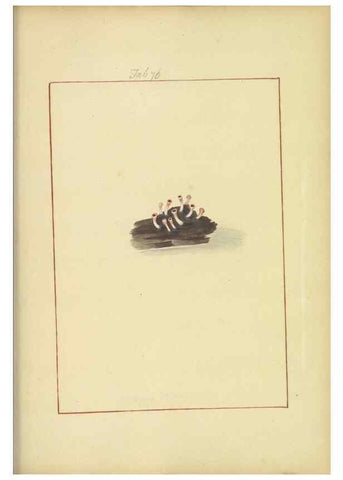 Reproducción/Reproduction 48366726717: Icons fungorum circa Halifax sponte Nascentium /. 1784-1792.. 