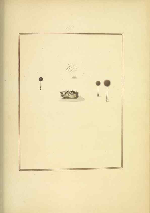Reproducción/Reproduction 48366693011: Icons fungorum circa Halifax sponte Nascentium /. 1784-1792.. 