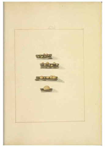 Reproducción/Reproduction 48366718456: Icons fungorum circa Halifax sponte Nascentium /. 1784-1792.. 