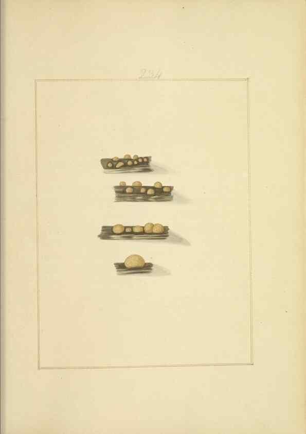 Reproducción/Reproduction 48366718456: Icons fungorum circa Halifax sponte Nascentium /. 1784-1792.. 