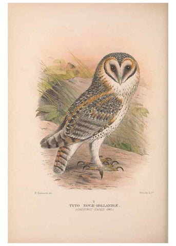 Reproducción/Reproduction 48684219153: The Birds of Australia. London :Witherby & Co.,1910-1927.. 